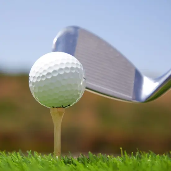 300 Pack Bamboo Golf Tees in Bulk (2 3/4 inch, Natural Wood Color) Brown {2}