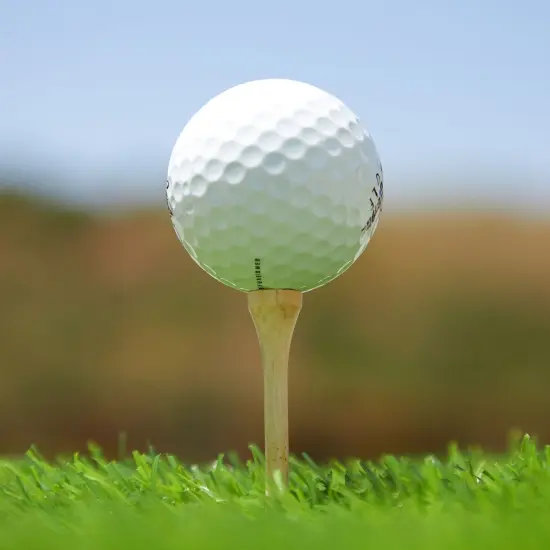 300 Pack Bamboo Golf Tees in Bulk (2 3/4 inch, Natural Wood Color) Brown {3}