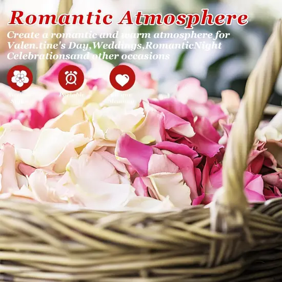 240 PCS Real Pink White Rose Flower Petals Confetti for Wedding Flower Girl {3}