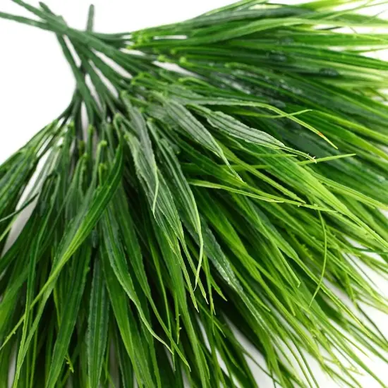 Vibrant Spring Grass Set for Stunning Table Decor {1}