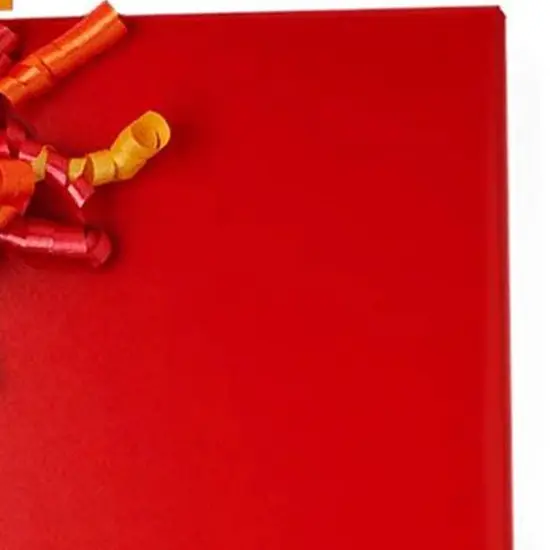 Smooth & Solid Gift Wrapping Paper Roll 24" x 417' {4}