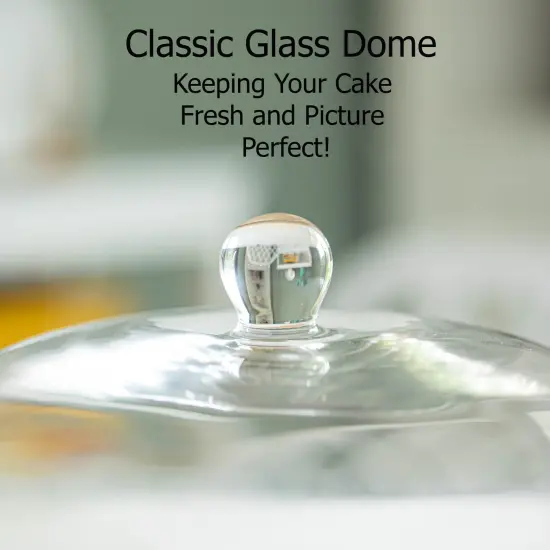 Basicwise Round Glass Dome Dessert Tray Set - 2-in-1 Cake Stand with Lid, Fruit & Charcuterie Display and Cheese Serving Platter - Ideal for Kitchen, Birthday, Wedding, Party and Other Occassions {6}