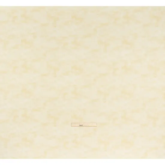 1 Yard Ivory Quilting Cotton Lightweight Abstract Fresco 44 Inch Wide {4}