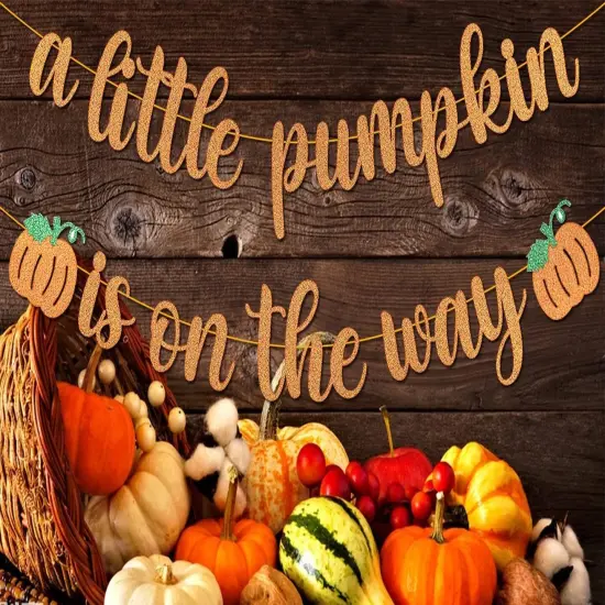 Pumpkin Baby Shower Decorations A Little Pumpkin is On the Way Banner {2}