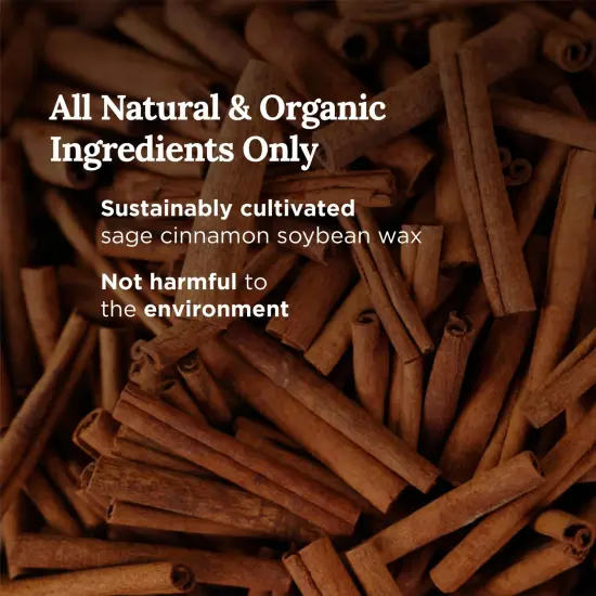 Magnificent 101 Long Lasting Money Aromatherapy Candle | 6 Oz - 35 Hour Burn | Made of Sage Scented Soy Wax Candle for House Energy Cleansing, Purification & Manifestation | Boost Your Cash Flow White {3}