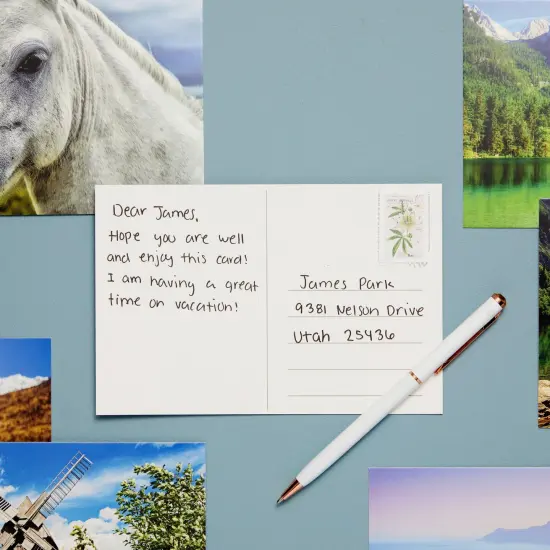 40 Pack Bulk Animal and Travel Postcards From Around the World for Mailing, Assorted Nature Thank You Notes (4 x 6 In) Multicolor {2}