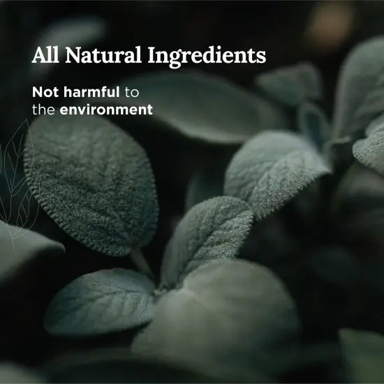 Magnificent 101 Long Lasting White Sage Scented Smudge Candle | 6 Oz - 35 Hour Burn | Made of Soy Wax for House Energy Cleansing Purification, Chakra Healing & Manifestation {3}