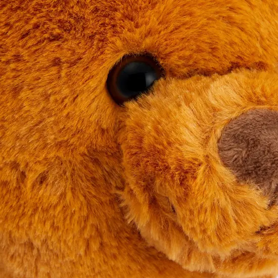 Get Well Soon Bear, Teddy Bear for Hospital Care Package for Kids, Adults (14 In) Brown {4}