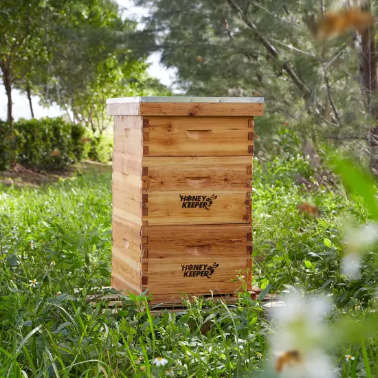 Honey Keeper Beehive 10 Frame Complete Box Kit Coated in 100% Beeswax (Waxed Boxes, 2 Deep and 1 Medium) with Wooden Frames and Waxed Foundations for Langstroth Beekeeping {6}