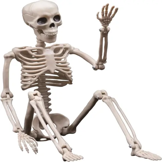 Halloween Decoration Outdoor 2 Pack Skeleton, 16" Plastic Posable Skeleton {3}