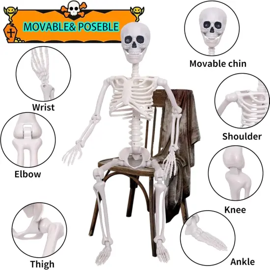 3Ft Halloween Skeleton - 16 Inches {3}