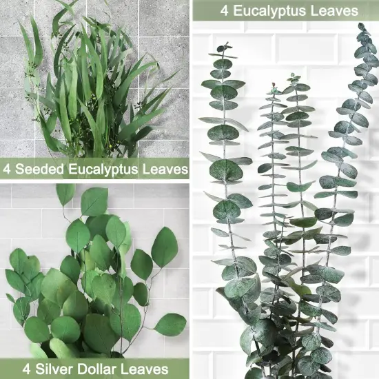 12Pcs Mixed Real Dried Eucalyptus Leaves Stems - Preserved Eucalyptus Branches, Silver Dollar Eucalyptus, Seeded Eucalyptus Bouquets for Vase Floral Arrangements Wedding Greenery Decor {5}