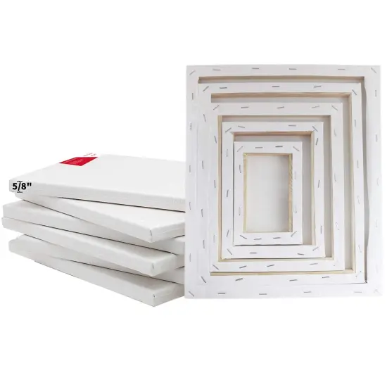 10 Pcs Stretched Canvases with Multi Size Pack, 4x6, 6x8, 8x10, 10x12, 12x14, for Painting, Acrylic Pouring, Oil Paint & Watercolor Art Media {3}