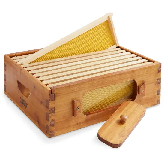 Honey Keeper Brood Box with Window, 100% Beeswax Coated Beehive Kit with 10 Wooden Frames and Waxed Foundations for Langstroth Beekeeping {1}