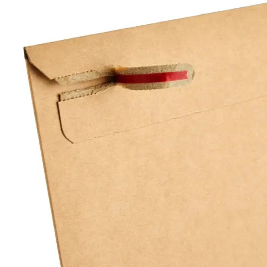 100-Pack Stay Flat Rigid Mailers 9x11.5 with Self Adhesive Seal, 450 gsm Sturdy Bulk Brown Cardboard Envelopes for Shipping Photos, Magazines, Comic Books, Art Prints, Documents, Collectibles {6}