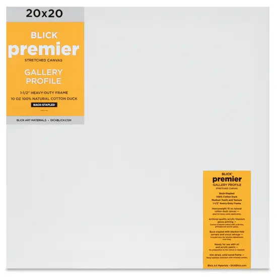 Blick Premier Stretched Cotton Canvas - Gallery Profile, Back-Stapled, 20" x 20" {1}