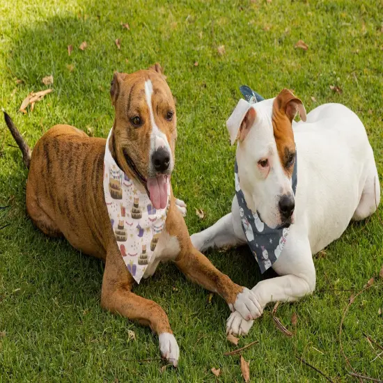 Mechaly Cotton Funny Dog Bandana with Designs Durable Birthday Pet Scarf {4}