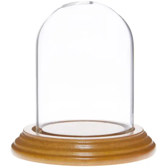 Plymor 2.5" x 3.5" Small Glass Display Dome Cloche Oak Veneer {1}