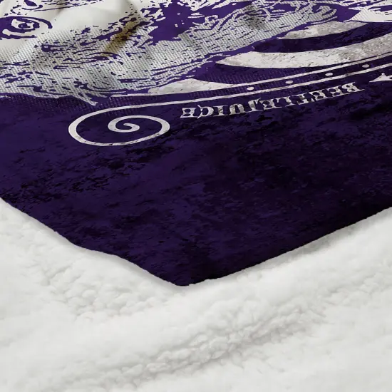 Warner Brothers Beetlejuice Silk Touch Sherpa Throw Blanket Big Dark Room {5}