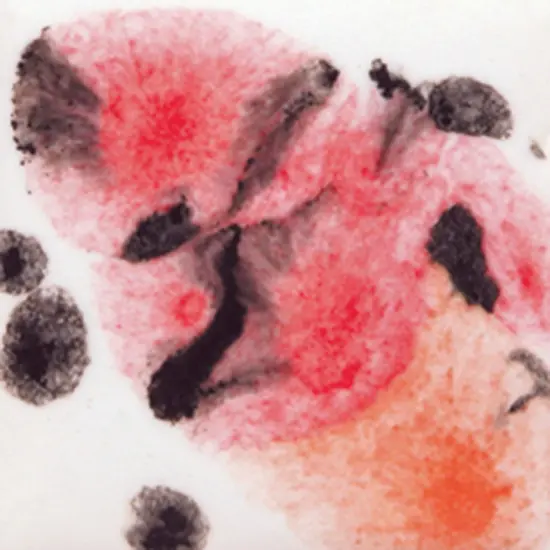 Sax Crystal Magic Glaze, Poppy Fields, 1 Pint {1}