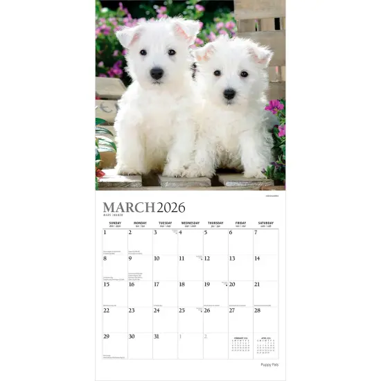 Puppy Pals | 2026 12 x 24 Inch (Hanging) Monthly Square Wall Calendar | Foil Stamped Cover {3}