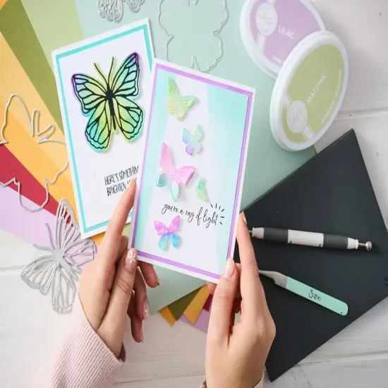 Sizzix Thinlits Die Set By Catherine Pooler 9/Pkg-Spring Wings {6}