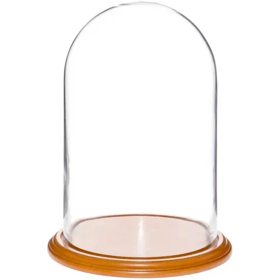 Plymor 9.75" x 15" Glass Display Dome Cloche Oak Veneer {1}