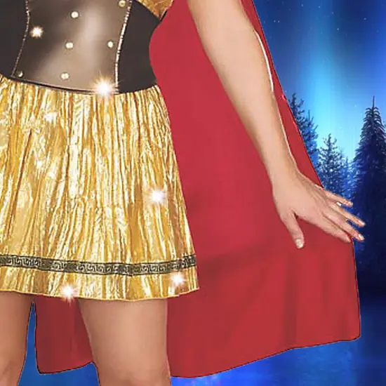 Golden Gladiator Warrior Dress Women's Costume Idea Women&rsquo;s XL {4}