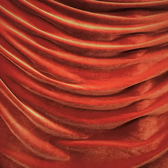 1 Yard Stretch Velvet Fabric Rich Soft Plush 4-Way Stretch Dancewear Costume 58/60" Width Rust {1}