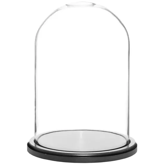 Plymor 8" x 12" Glass Display Dome Cloche Black Wood {1}