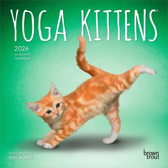 Yoga Kittens OFFICIAL | 2026 7 x 14 Inch (Hanging) Monthly Mini Wall Calendar | BrownTrout | Animals Humor Cats Feline {1}