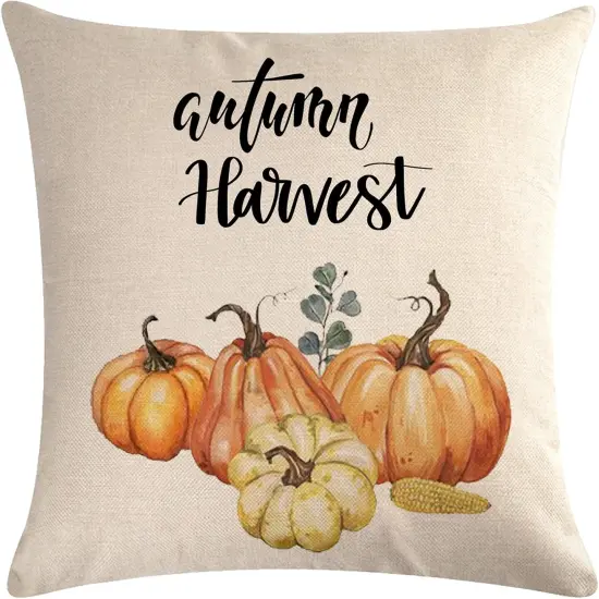 Set of 2 Autumn Decorations Pumpkin Pillow Covers 20" x 20 {3}