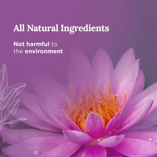 Magnificent 101 Long Lasting Affirmation Tin Candle with Sage & Palo Santo Scented | 6 Oz - 35 Hour Burn | Made of Soy Wax for Abundance, Meditation, Manifestation | Manifesting My Wildest Dreams Multicolor {3}