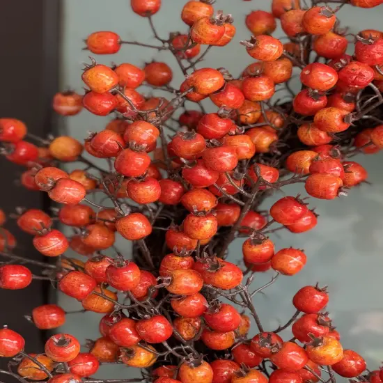 Faux Orange Berry Wreath 19'' Christmas Holiday Winter Fall Autumn Decor {2}