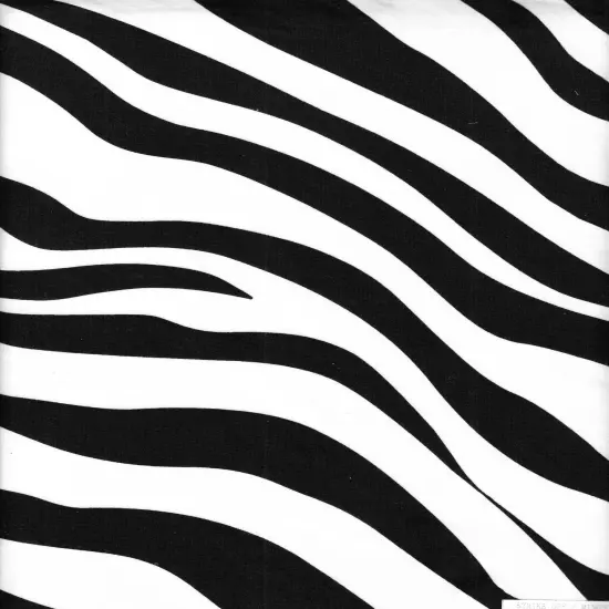 1 Yard Brushed Zebra DTY Knit Stretch Fabric 58/60 Inch Wide Soft Cozy Animal Print for Trendy Outfits & DIY Sewing BLACK/IVORY {3}
