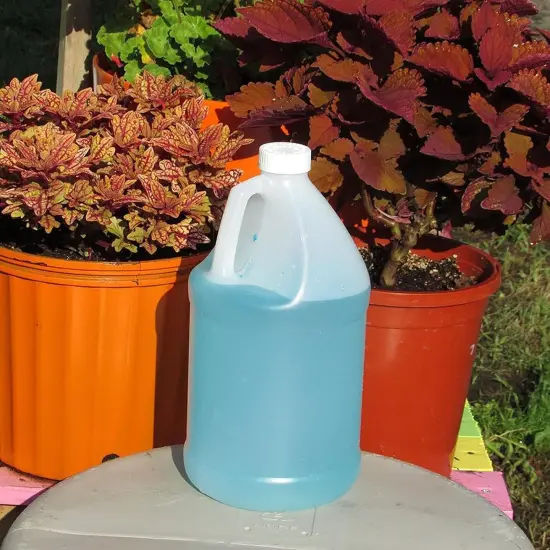 2 Pack 1 Gallon Jugs {2}