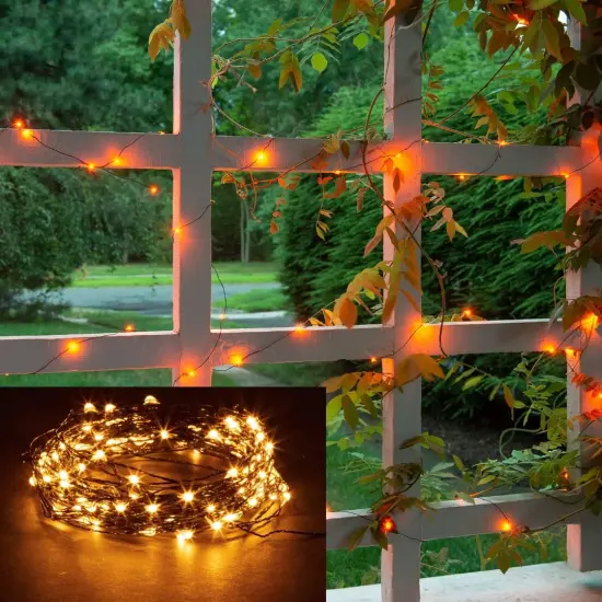 Orange Fairy Christmas Holiday String Lights, 33 ft / 10 m {1}
