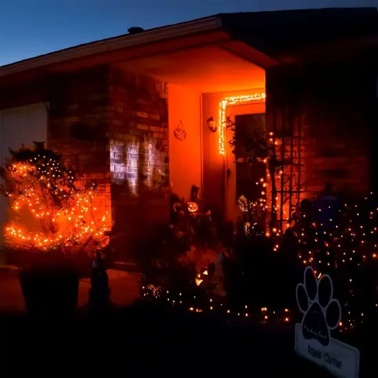 1 Pack 16 Ft Copper Wire 50 LED Mini Fairy String Lights {5}