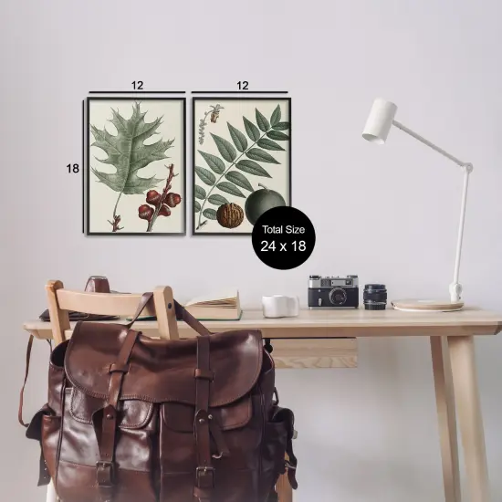 Stupell Industries Tree Leaves & Nuts 2pc Framed Giclee Wall Art Set Design by Graffi*tee Studios {3}