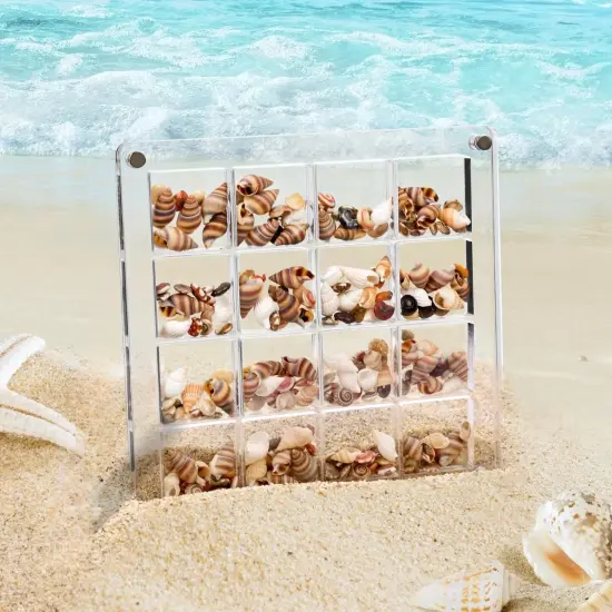 Artlunar 16 Grids Square Clear Acrylic Shadow Boxes Mini Seashell Collection Display Box Shell Display Cases {3}