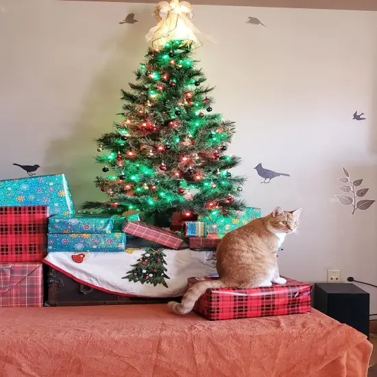 FULLBELL Christmas Decorations Halloween String Lights Outdoor, Green LED Halloween Lights, Green Light for Tree Halloween Decorations. {3}