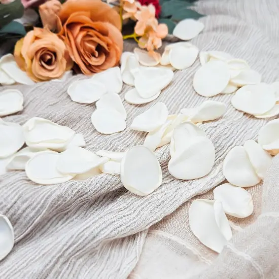 200Pcs Ivory Silk Rose Flower Petals for Valentaine's Day,Wedding Flower Girl {1}