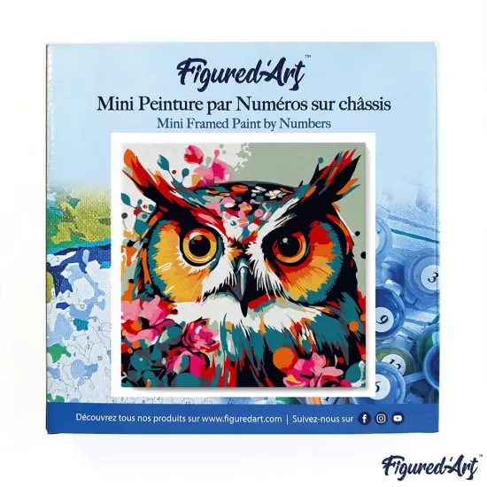 Figured'Art Mini Paint by Numbers Kit for Adults with Frame Fantasy owl with flowers Small format 8"x8" - Craft Art Painting DIY Canvas Already Stretched on a Wooden Frame {3}