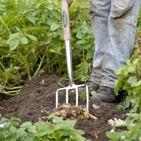 Spear & Jackson Traditional Stainless Steel Digging Fork, Heavy Duty Durable Stainless Steel Garden Tool, Ideal for Digging, Aerating, and Turning Soil {7}