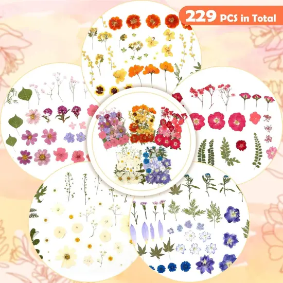 269 PCS Dried Pressed Flowers for Resin Crafts {2}
