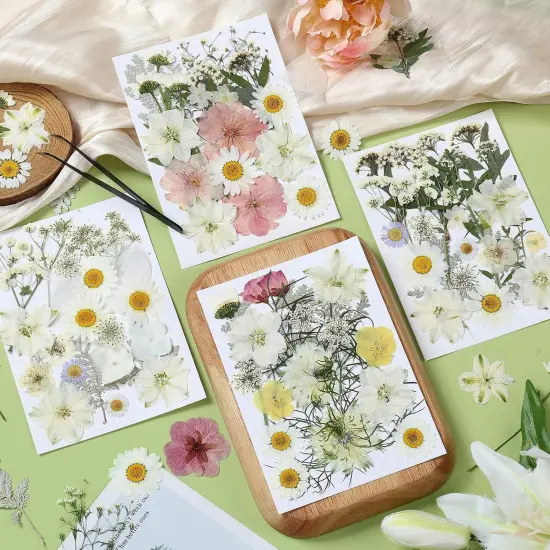 86Pcs Pressed Dried Flowers w/ Tweezer - White {2}