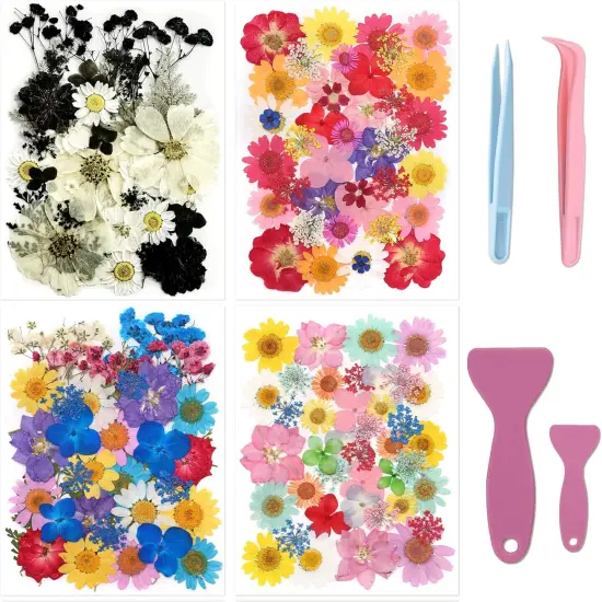 160 Pcs Small Dried Pressed Flowers for Resin with Tools {1}