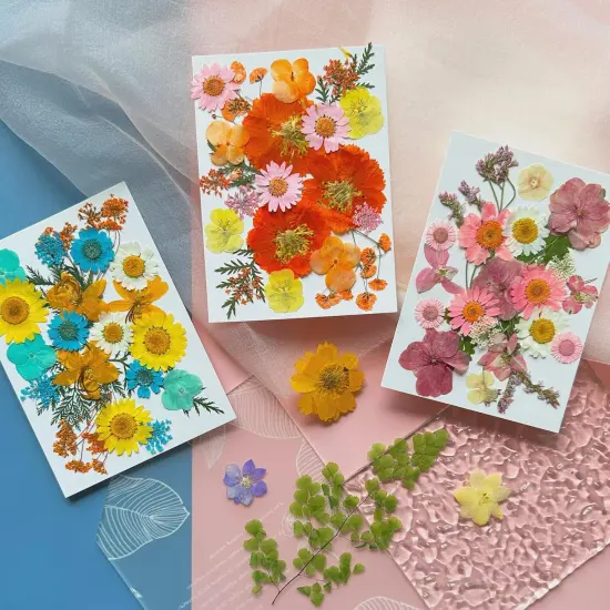 66Pcs Dried Pressed Flowers {2}