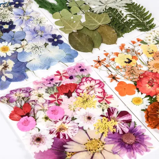 110+PCS Pressed Flowers for Resin - Colorful C {3}