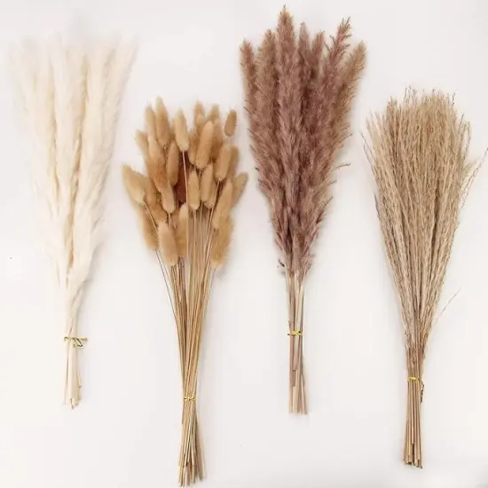 Dried Pampas Grass Decor, 100 Stems Pampas Grass Contains Bunny Tails Dried Flowers, Reed Grass Bouquet for Wedding Boho Flowers Home Table Decor, Rustic Farmhouse Party (17", White and Brown) {1}